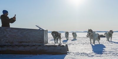 «Поразительный рост доходов» Starlink в контексте остальной спутниковой отрасли